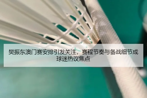 樊振东澳门赛安排引发关注，赛程节奏与备战细节成球迷热议焦点